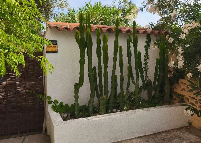 Oasis Villa